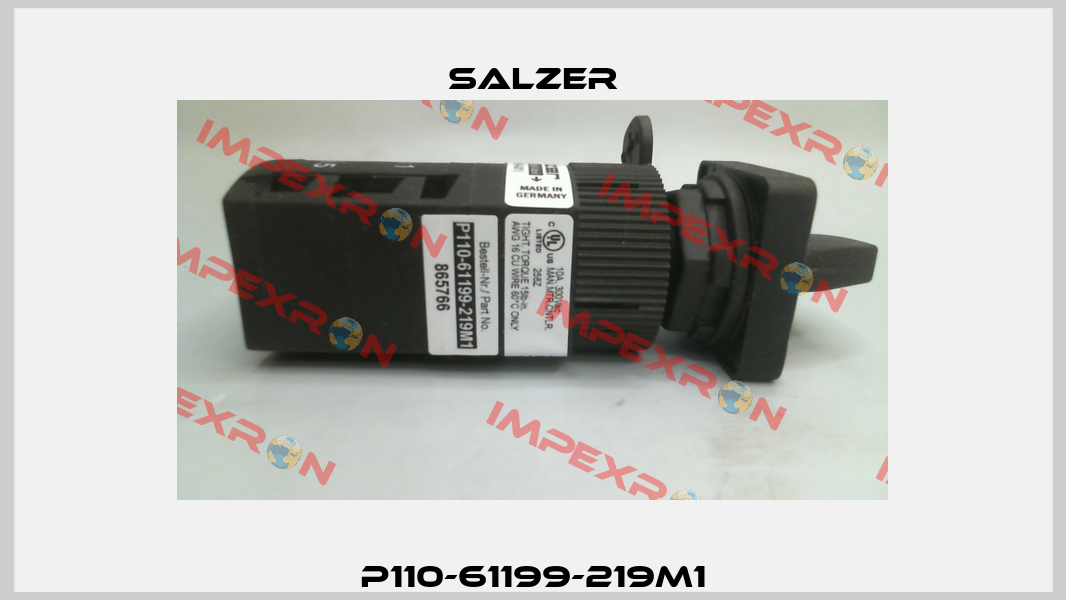 P110-61199-219M1 Salzer
