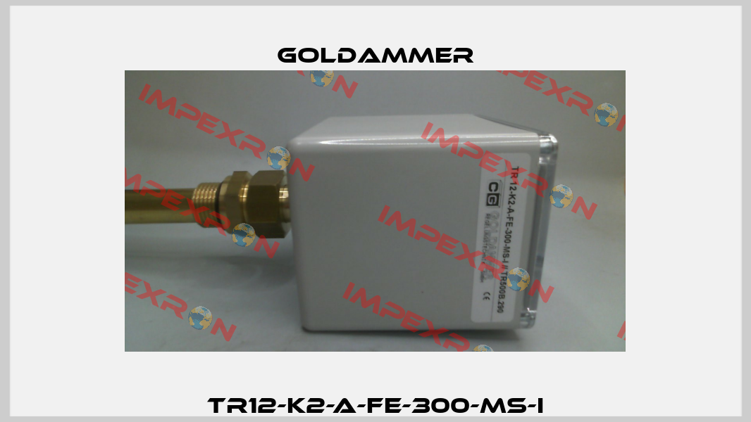 TR12-K2-A-FE-300-MS-I Goldammer