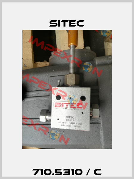 710.5310 / c SITEC