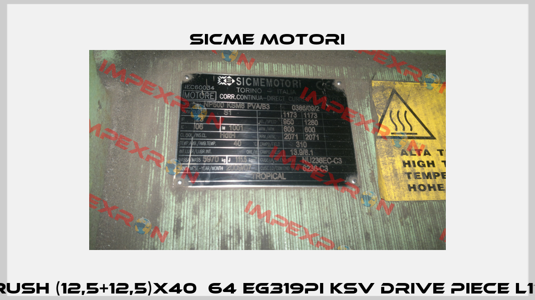 Electrobrush (12,5+12,5)x40х64 EG319PI KSV drive piece L170 mm end  Sicme Motori