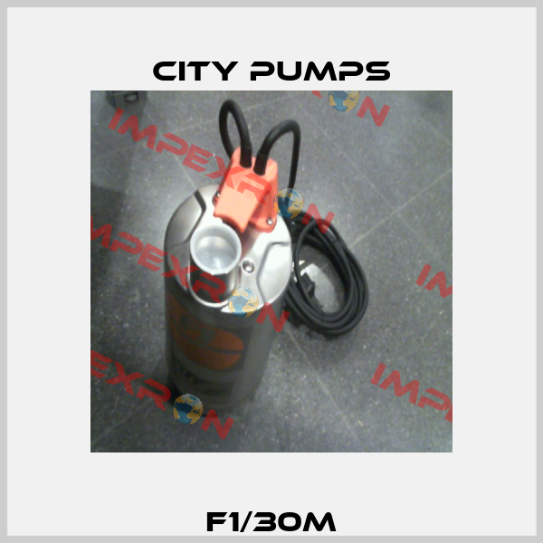 F1/30M City Pumps