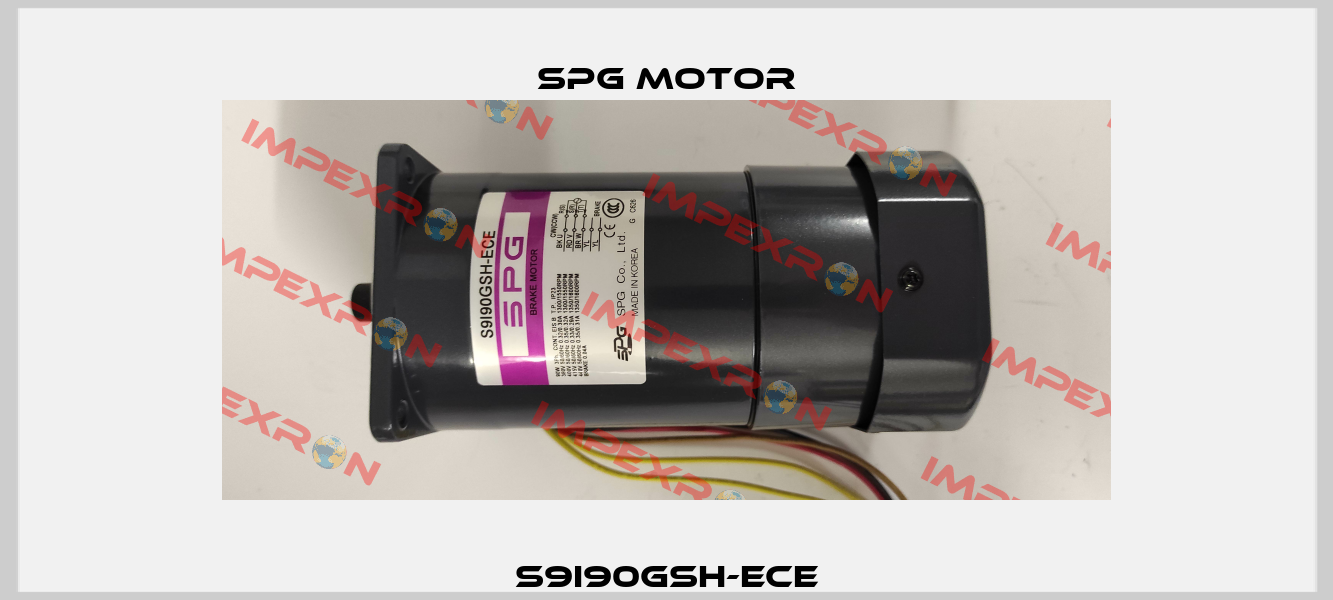 S9I90GSH-ECE Spg Motor