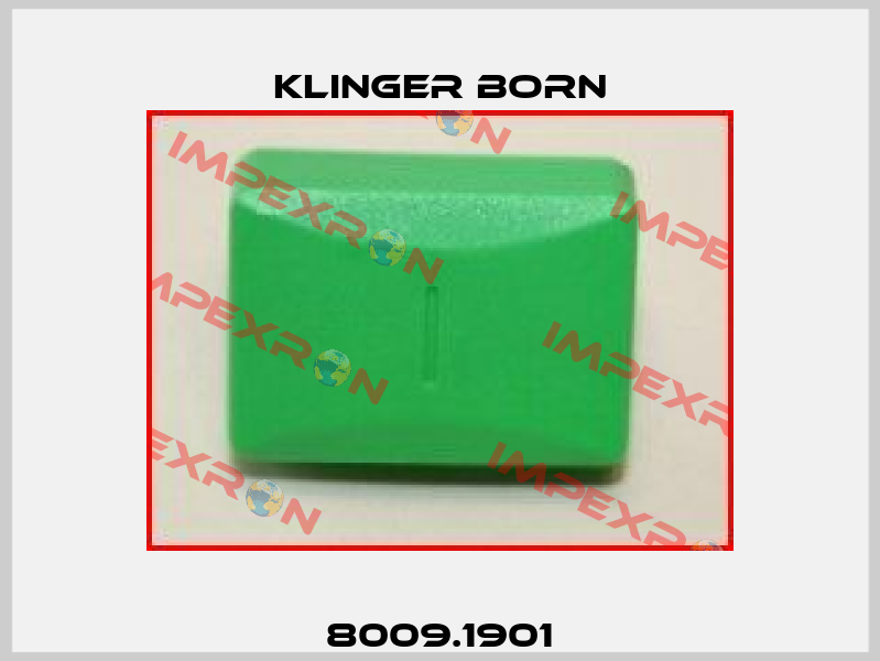 8009.1901 Klinger Born