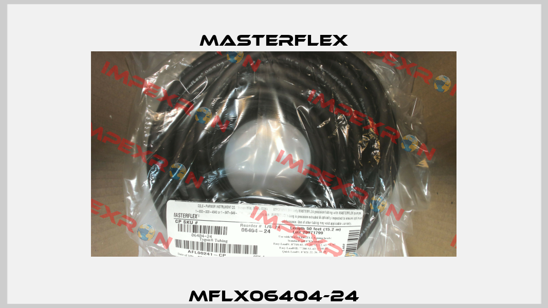 MFLX06404-24 Masterflex