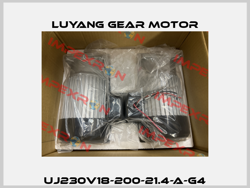 UJ230V18-200-21.4-A-G4 Luyang Gear Motor