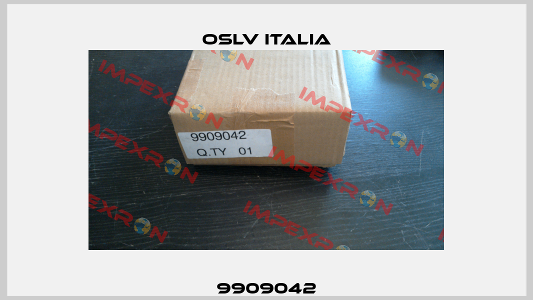 9909042 OSLV Italia